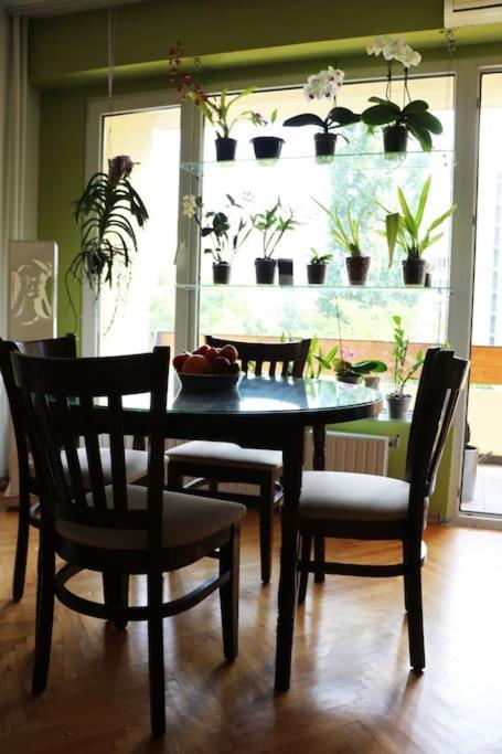 Beautiful Flat In Central Location By Flat Mаnager Szófia Kültér fotó