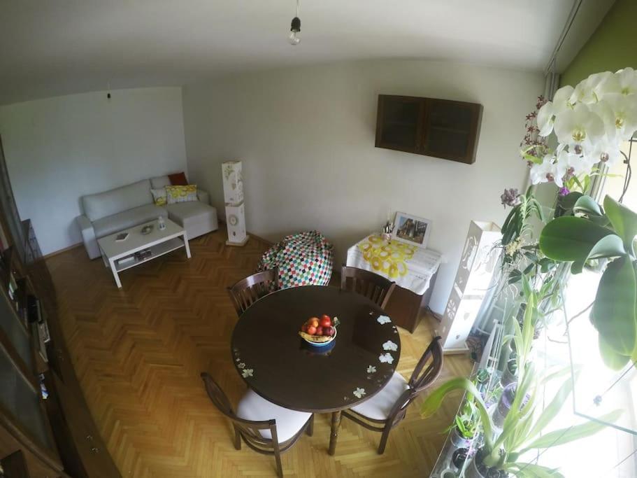 Beautiful Flat In Central Location By Flat Mаnager Szófia Kültér fotó